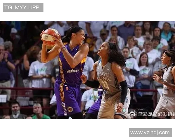 华盛顿神秘人揭开阳光背后的秘密与真相之争