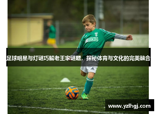 足球明星与灯谜巧解老王家谜题，探秘体育与文化的完美融合