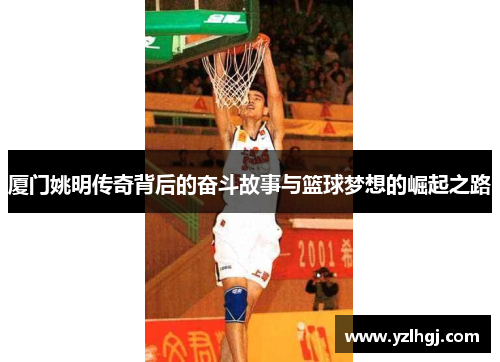 厦门姚明传奇背后的奋斗故事与篮球梦想的崛起之路