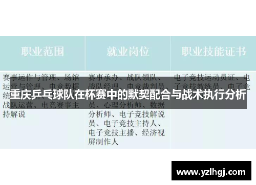 重庆乒乓球队在杯赛中的默契配合与战术执行分析