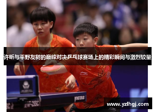 许昕与平野友树的巅峰对决乒乓球赛场上的精彩瞬间与激烈较量